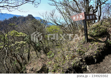 愛鷹山塊の越前岳 アセビ咲く高場所尾根分岐より望む呼子岳 愛鷹山塊の越前岳 アセビ咲く高場所尾根分岐より望む呼子岳 134920302