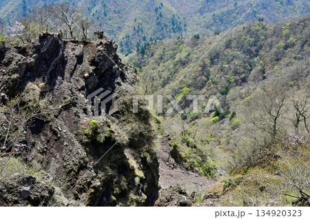 愛鷹山塊の越前岳 北白ガレンの岩場と点在する新緑 愛鷹山塊の越前岳 北白ガレンの岩場と点在する新緑 134920323