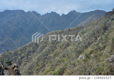 愛鷹山塊の越前岳　北白ガレンの岩場からの展望　鋸岳、蓬莱岳（蓬莱山）、呼子岳 134920327