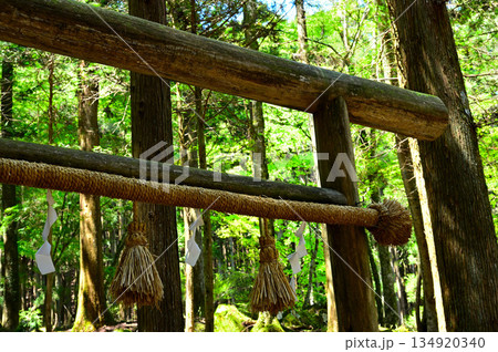 愛鷹山塊の越前岳　大沢入林道　山神社のある須山愛鷹登山口の鳥居 134920340