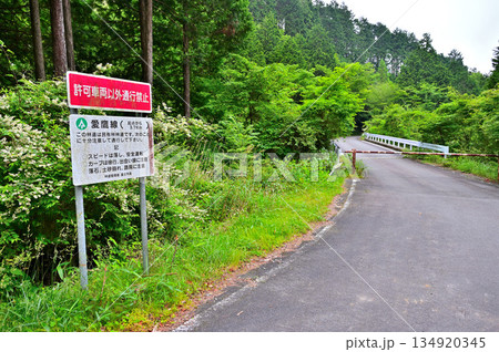 愛鷹山塊の富士ひのきの森　林道愛鷹線 134920345