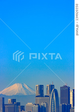 東京都新宿区、富士山と新宿副都心超高層ビル郡の風景 134920350