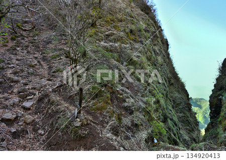 愛鷹山塊　蓬莱岳（蓬莱山）と呼子岳の鞍部　割石峠の登山道 134920413