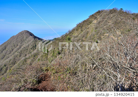 愛鷹山塊の蓬莱岳（蓬莱山）　天狗の畑展望地より望む呼子岳と大岳 134920415