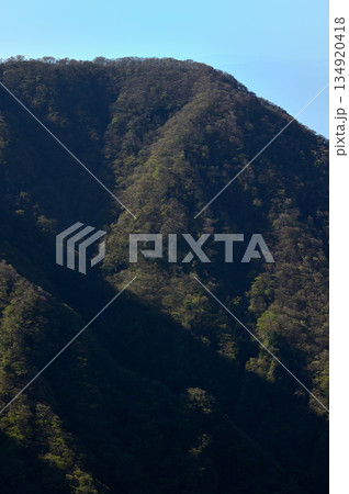 愛鷹山塊の蓬莱岳（蓬莱山）　天狗の畑展望地より望む袴腰岳 134920418