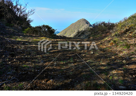 愛鷹山塊の蓬莱岳(蓬莱山) 天狗の畑展望地と大岳を望む 愛鷹山塊の蓬莱岳(蓬莱山) 天狗の畑展望地と大岳を望む 134920420