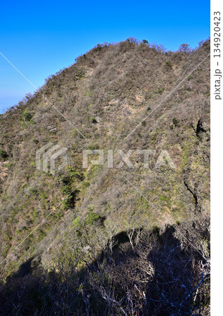愛鷹山塊の蓬莱岳(蓬莱山) 天狗の畑展望地より望む早春の呼子岳 愛鷹山塊の蓬莱岳(蓬莱山) 天狗の畑展望地より望む早春の呼子岳 134920423