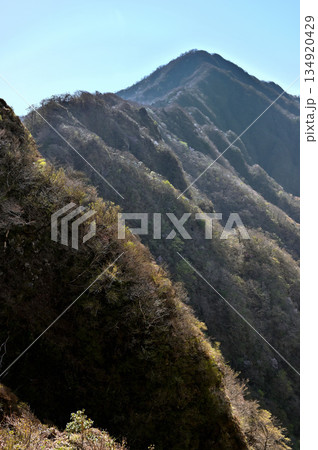 愛鷹山塊の蓬莱岳(蓬莱山)より 鋸岳から位牌岳の稜線 愛鷹山塊の蓬莱岳(蓬莱山)より 鋸岳から位牌岳の稜線 134920429