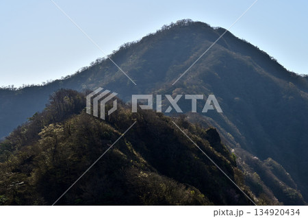 愛鷹山塊の蓬莱岳(蓬莱山)より鋸岳から位牌岳の稜線 愛鷹山塊の蓬莱岳(蓬莱山)より鋸岳から位牌岳の稜線 134920434