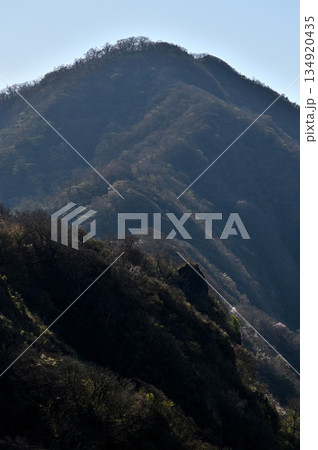 愛鷹山塊の蓬莱岳（蓬莱山）より位牌岳を望む 134920435