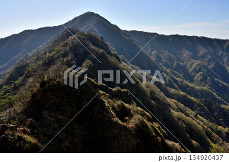 愛鷹山塊の蓬莱岳(蓬莱山)より 早春の鋸岳から位牌岳の稜線 愛鷹山塊の蓬莱岳(蓬莱山)より 早春の鋸岳から位牌岳の稜線 134920437