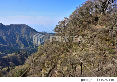 愛鷹山塊の蓬莱岳（蓬莱山）より望む袴腰岳 134920446