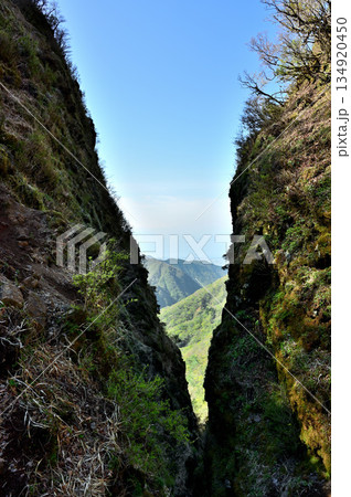 愛鷹山塊　蓬莱岳（蓬莱山）と呼子岳の鞍部　春の割石峠の峠道 134920450