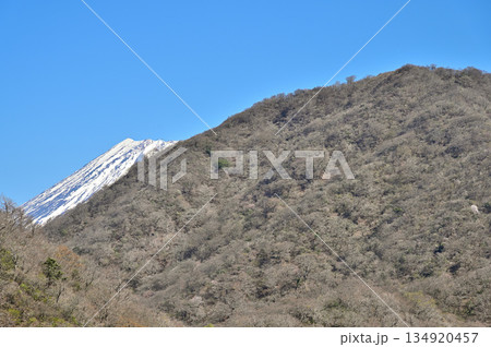 愛鷹山塊の呼子岳より望む 越前岳からのぞく富士山 コピースペース 愛鷹山塊の呼子岳より望む 越前岳からのぞく富士山 コピースペース 134920457