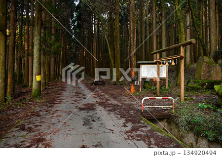 愛鷹山塊 越前岳の大沢入林道 山神社のある須山愛鷹登山口 愛鷹山塊 越前岳の大沢入林道 山神社のある須山愛鷹登山口 134920494