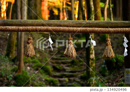 愛鷹山塊の越前岳　山神社の鳥居と参道 134920496