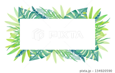 Watercolor tropical horizontal frame with green jungle leaves isolated on white. Botanical border with exotic rainforest foliage.  134920590
