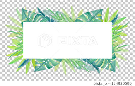 Watercolor tropical horizontal frame with green jungle leaves isolated on white. Botanical border with exotic rainforest foliage.  134920590