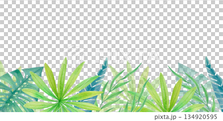 Watercolor tropical horizontal border with green jungle leaves isolated on white. Botanical summer clipart with rainforest foliage Watercolor tropical horizontal border with green jungle leaves isolated on white. Botanical summer clipart with rainforest foliage 134920595