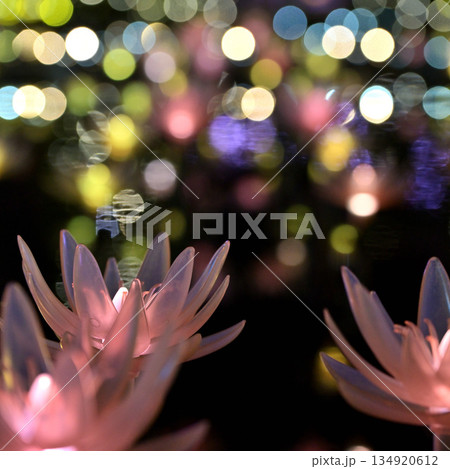 水面に浮かぶ花 134920612