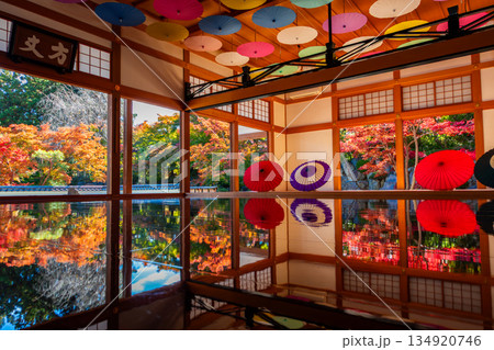 秋の群馬県・宝徳寺で見た、床に映り込む紅葉と天井の傘 134920746