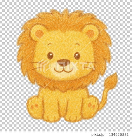 【動物】色鉛筆繪製的獅子插圖 134920881