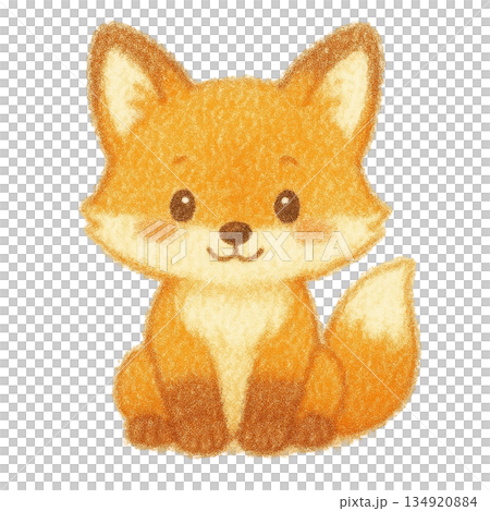 【動物】色鉛筆風のきつねのイラスト 134920884