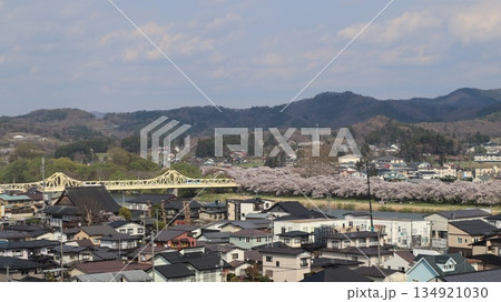 上から見た北上市立公園展勝地の桜並木の眺望 134921030