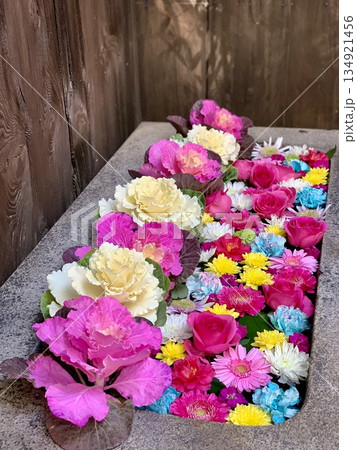 正月の華やかな花手水(葉牡丹・薔薇・ガーベラ・菊)〈菅生神社/愛知県岡崎市〉 正月の華やかな花手水(葉牡丹・薔薇・ガーベラ・菊)〈菅生神社/愛知県岡崎市〉 134921456
