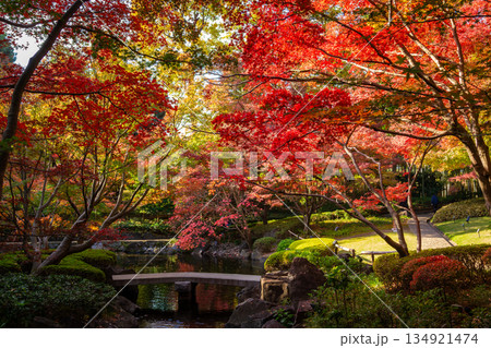 秋の東京・大田黒公園で見た、カラフルな紅葉に彩られる庭園 秋の東京・大田黒公園で見た、カラフルな紅葉に彩られる庭園 134921474