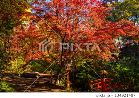 秋の東京・等々力不動尊で見た、紅葉のある風景 134921487