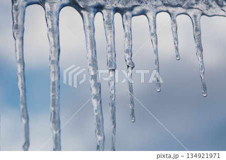 Winter icicles hanging against blue sky closeup 134921971