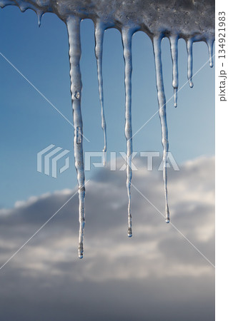 Winter icicles hanging against blue sky closeup 134921983
