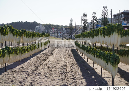 大根天日干し① 大根天日干し① 134922495