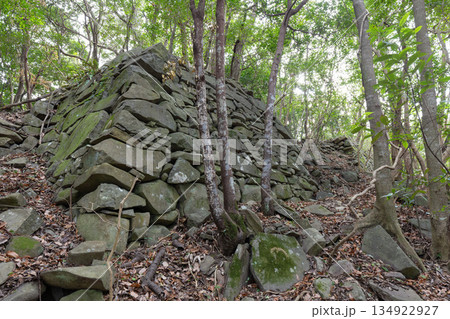 佐野鞍懸城跡 134922927