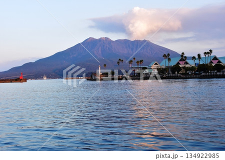 鹿児島市 桜島と鹿児島港北ふ頭のしおかぜ通り 鹿児島市 桜島と鹿児島港北ふ頭のしおかぜ通り 134922985