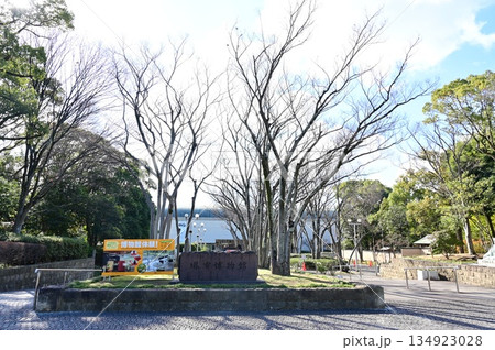 堺市博物館（大阪府堺市） 134923028