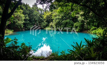 森に映える、翡翠色の静かな池1 134923050