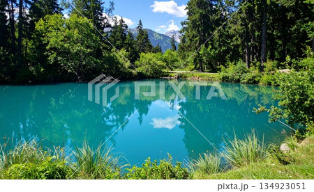 森に映える、翡翠色の静かな池2 134923051
