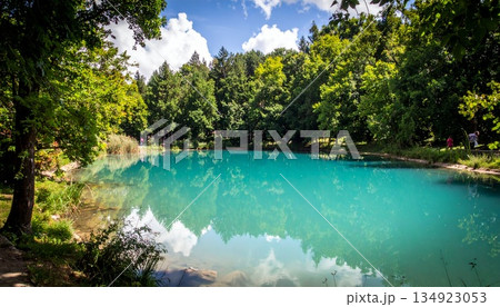 森に映える、翡翠色の静かな池4 134923053