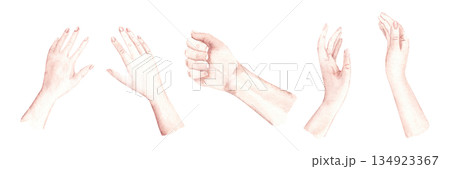 Woman and Man Hands set. Watercolor hand gesture collection with open palm, fist and expressive poses. Perfect for romantic card, wedding design, love message, invitation and social media visuals. Woman and Man Hands set. Watercolor hand gesture collection with open palm, fist and expressive poses. Perfect for romantic card, wedding design, love message, invitation and social media visuals. 134923367
