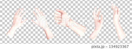 Woman and Man Hands set. Watercolor hand gesture collection with open palm, fist and expressive poses. Perfect for romantic card, wedding design, love message, invitation and social media visuals. Woman and Man Hands set. Watercolor hand gesture collection with open palm, fist and expressive poses. Perfect for romantic card, wedding design, love message, invitation and social media visuals. 134923367