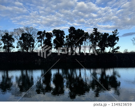 雲の広がる空と木立のシルエットと水面/The sky and trees 134923659
