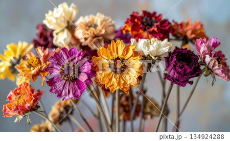 色彩を閉じ込めたドライフラワー7 134924288