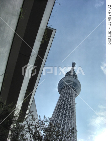 曇り日の東京スカイツリー-96 134924732