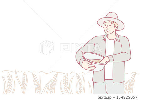 Agricultural worker collects ripe wheat, Rural scene showing farmer gathering golden grains peacefully 134925057