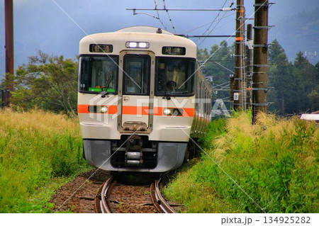 富士山を眺めつつ『御殿場線』を征く… 【313系電車】 富士山を眺めつつ『御殿場線』を征く… 【313系電車】 134925282