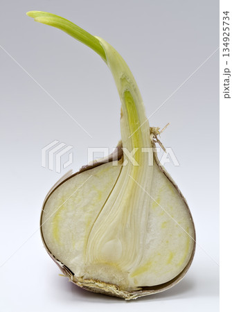Halved chinese garlic Halved chinese garlic 134925734
