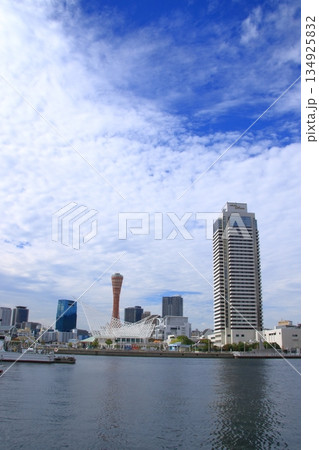 神戸港とメリケンパーク方面の風景 134925832