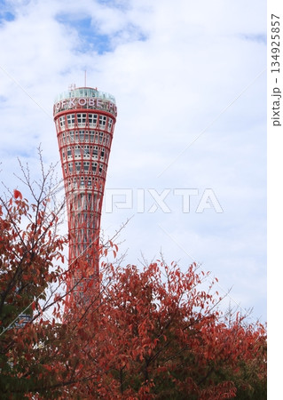 紅葉した木と神戸ポートタワー 紅葉した木と神戸ポートタワー 134925857